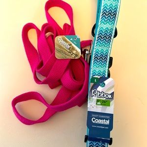 Brand new dog collar and leash!